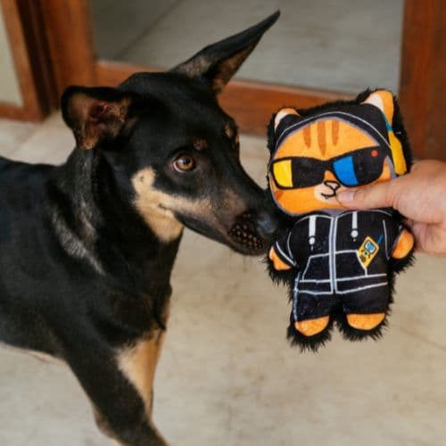Brinquedo de Pelúcia Espião Bigodini para cachorro | brinquedo macio com apito para morder  - Petiko