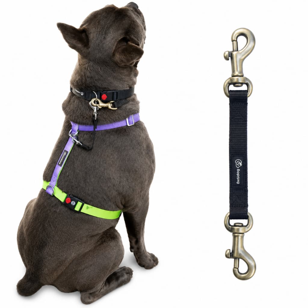 Backup de Segurança Para Cachorro Guia Coleira Peitoral Duplo Mosquetão Adestramento Passeio