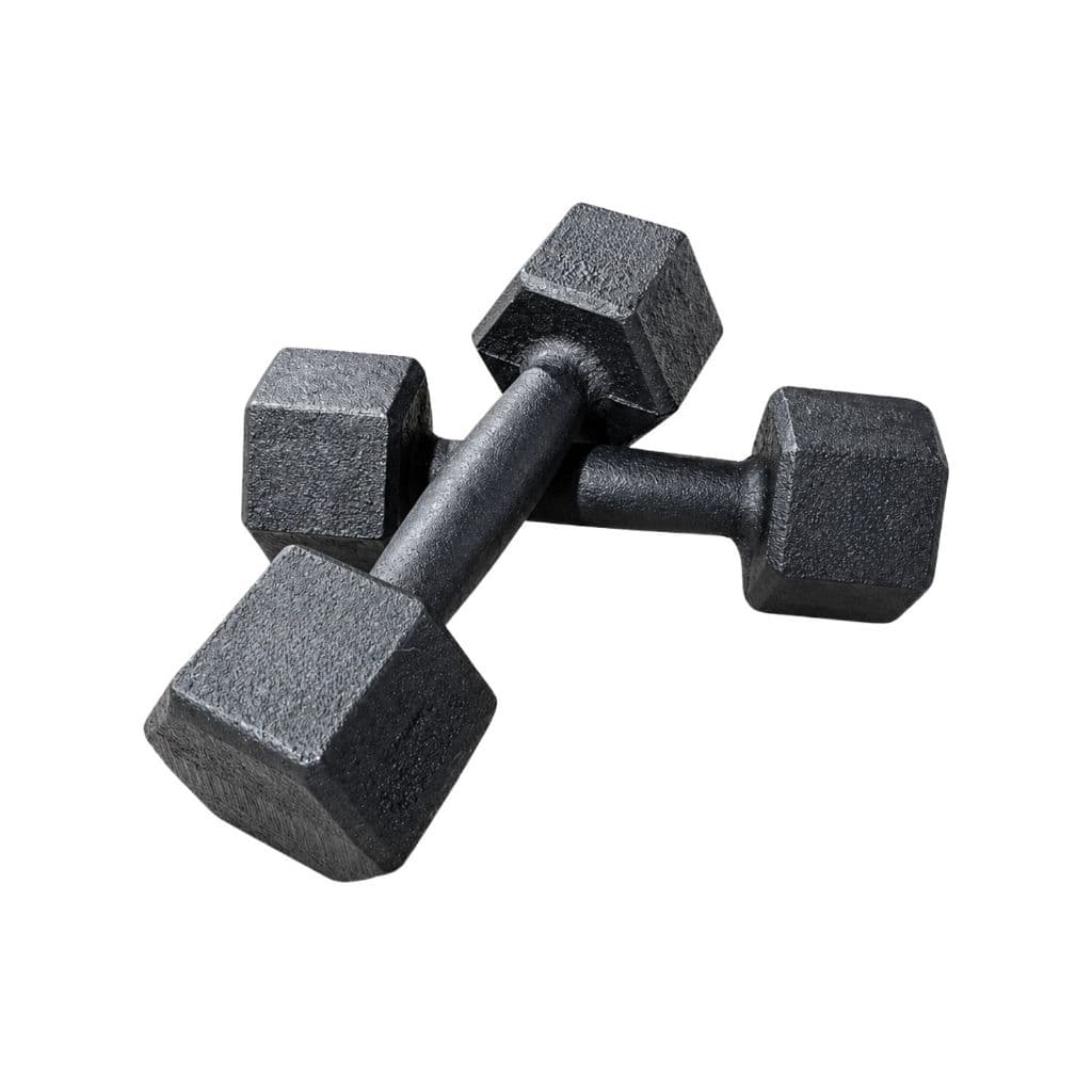 Par Halter Sextavado Pintado 6kg Preto 2 Unidades Musculação Academia Treino Funcional Equipamentos