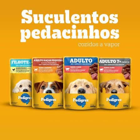 Pedigree Sachê 100g Leve 18 un