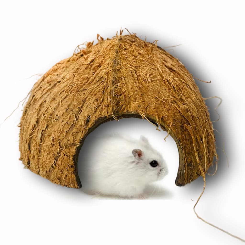 Casinha Toca Natural Para Hamster Pet em Geral