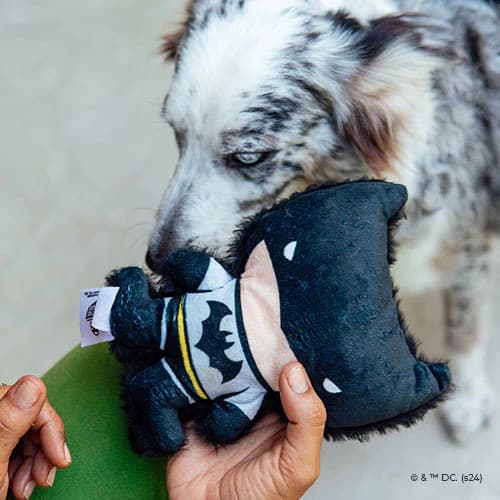 Brinquedo de Pelúcia Batman | Coleção Liga da Justiça para cachorro, brinquedo macio com apito - Petiko