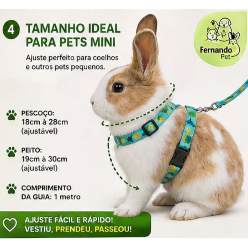 coleira para coelho | coleira e guia Peitoral para Coelho | coleira para chinchila com ajuste