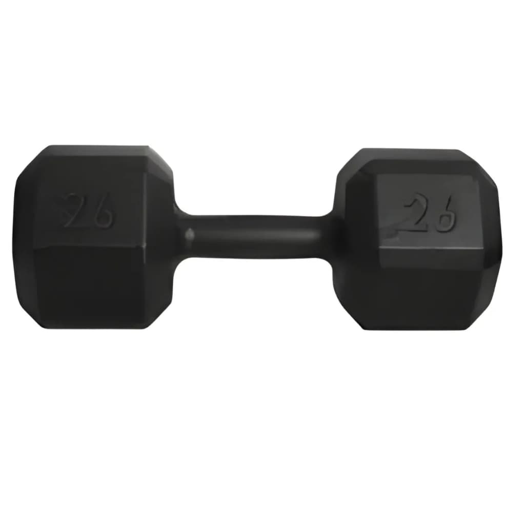 Halter Sextavado 26kg Fitness Musculação Treino Academia Funcional Crossfit Resistente Profissional Gym Peso Pro