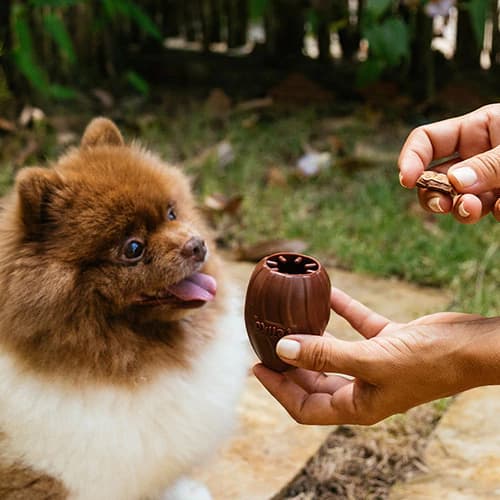 Dispenser de Petiscos DeliciOvo para cachorro | brinquedo interativo, brinquedo recheável - Petiko