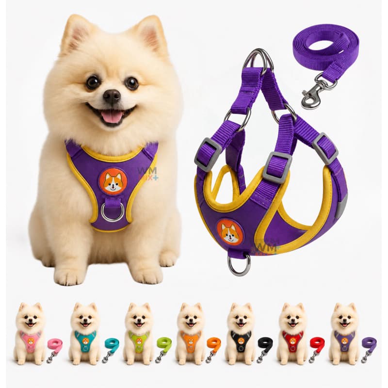 Coleira Cachorro E Gato, Conjunto De Guia + Coleira Colete Para Pet Pequenos E Médios Peitoral