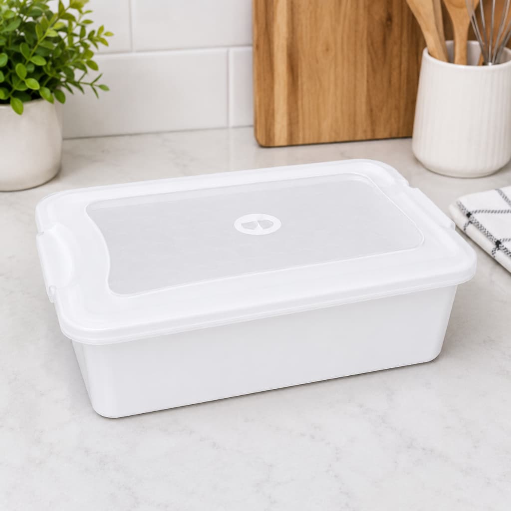 Caixa de carne 9 Litros Organizador Multiuso com Tampa Para Casa Cozinha caixa churrasco com tampa