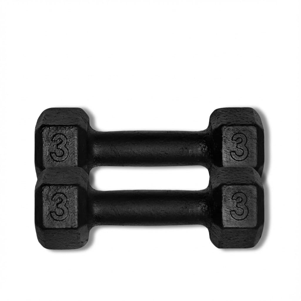 Kit 2 Halteres 3Kg (Par) Emborrachados FERDUOR para Academia Musculação Profissional Henvifer Academia E Treino