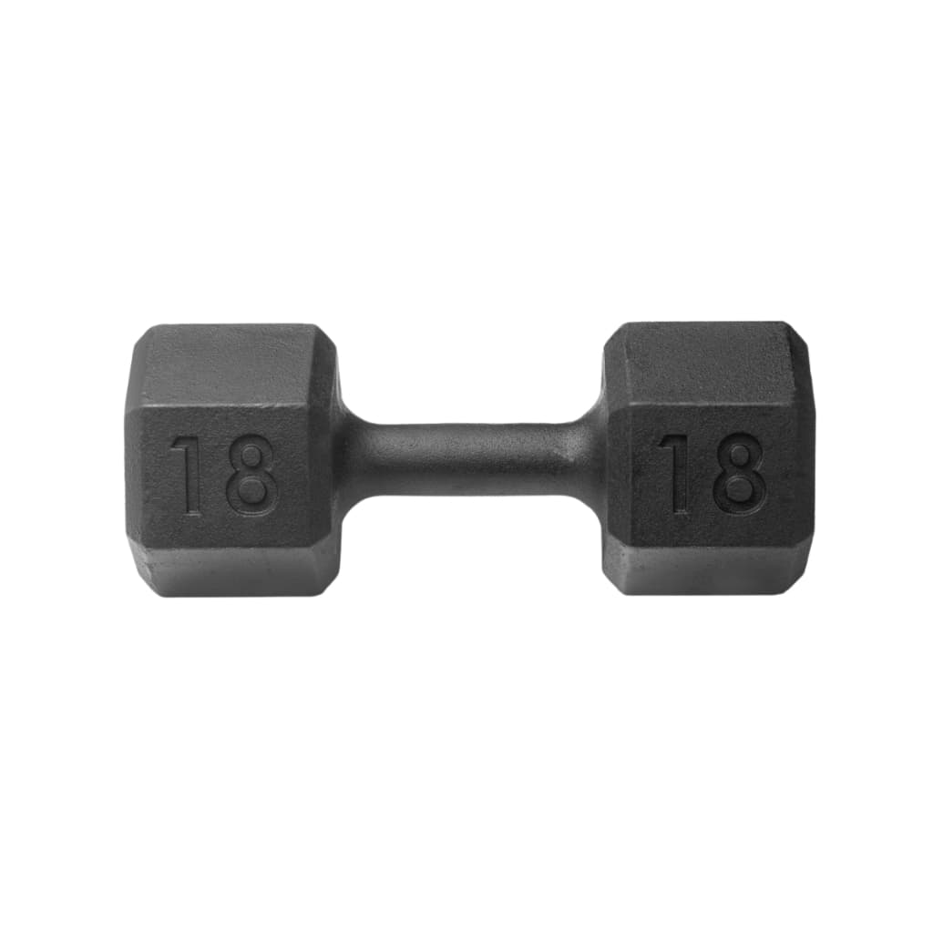 Halter Sextavado 18kg Pintado Levantamento Peso Musculação Academia Casa Fitness