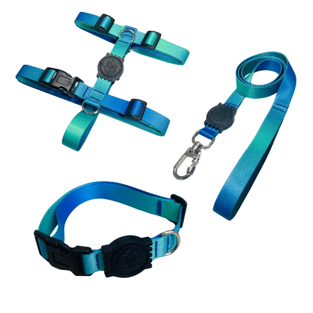 Kit Passeio Completo Peitoral H Guia e Coleira Para Cachorros Cães Varias Estampas