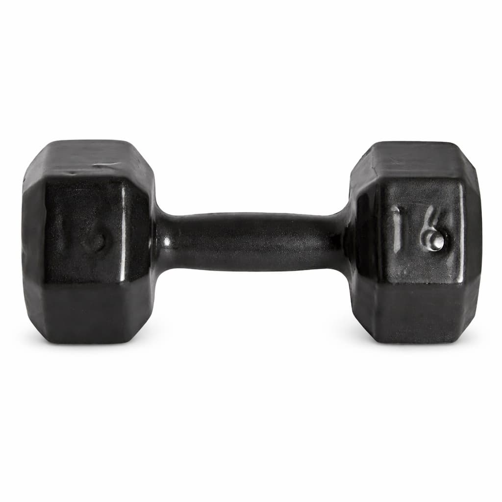 HALTER SEXTRAVADO 16KG EMBORRACHADO PESO DUMBBELL EXERCÍCIO FORÇA MUSCULAÇÃO GYM PILATES FISIOTERAPIA ACADEMIA EM CASA