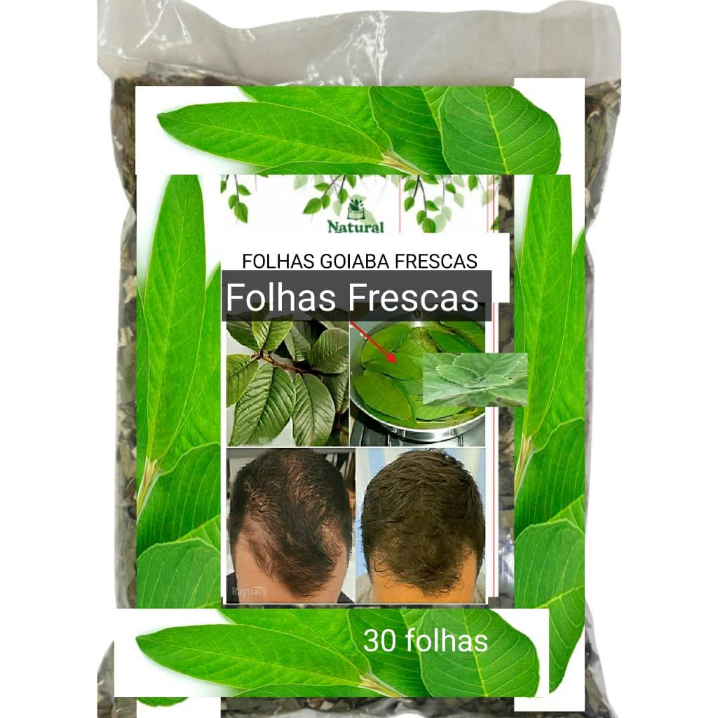 Kit 30 Folhas de GOIABA Frescas 100% Orgânicas Chá Aromaticas Saúde Medicinais OFERTA