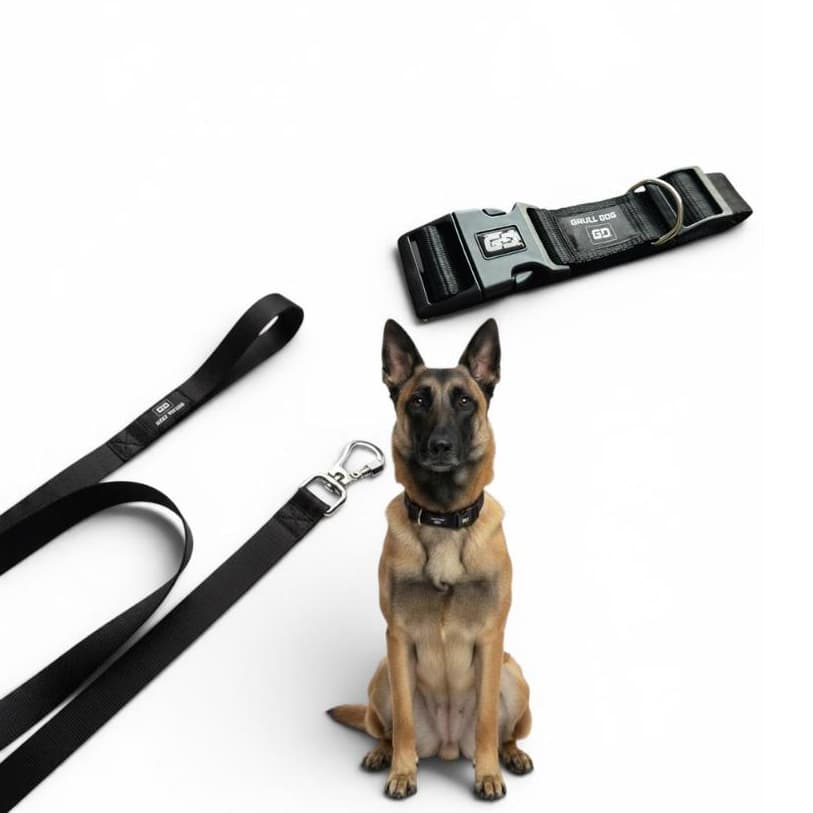 kit coleira ajustavel + guia reforçada para cachorro acessórios premium maior durabilidade segurança