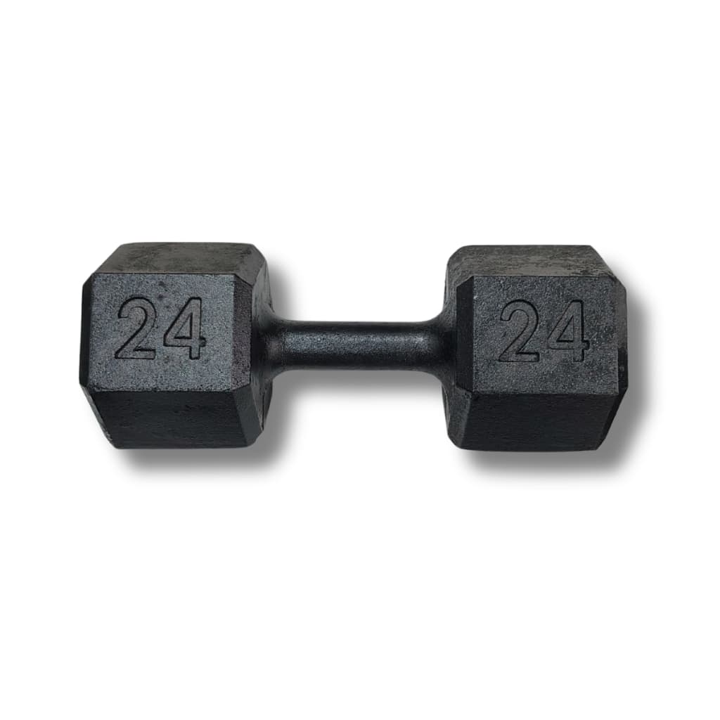 Halter Sextavado 24kg Pintado Musculação Treinamento Casa Peso Fitness Academia
