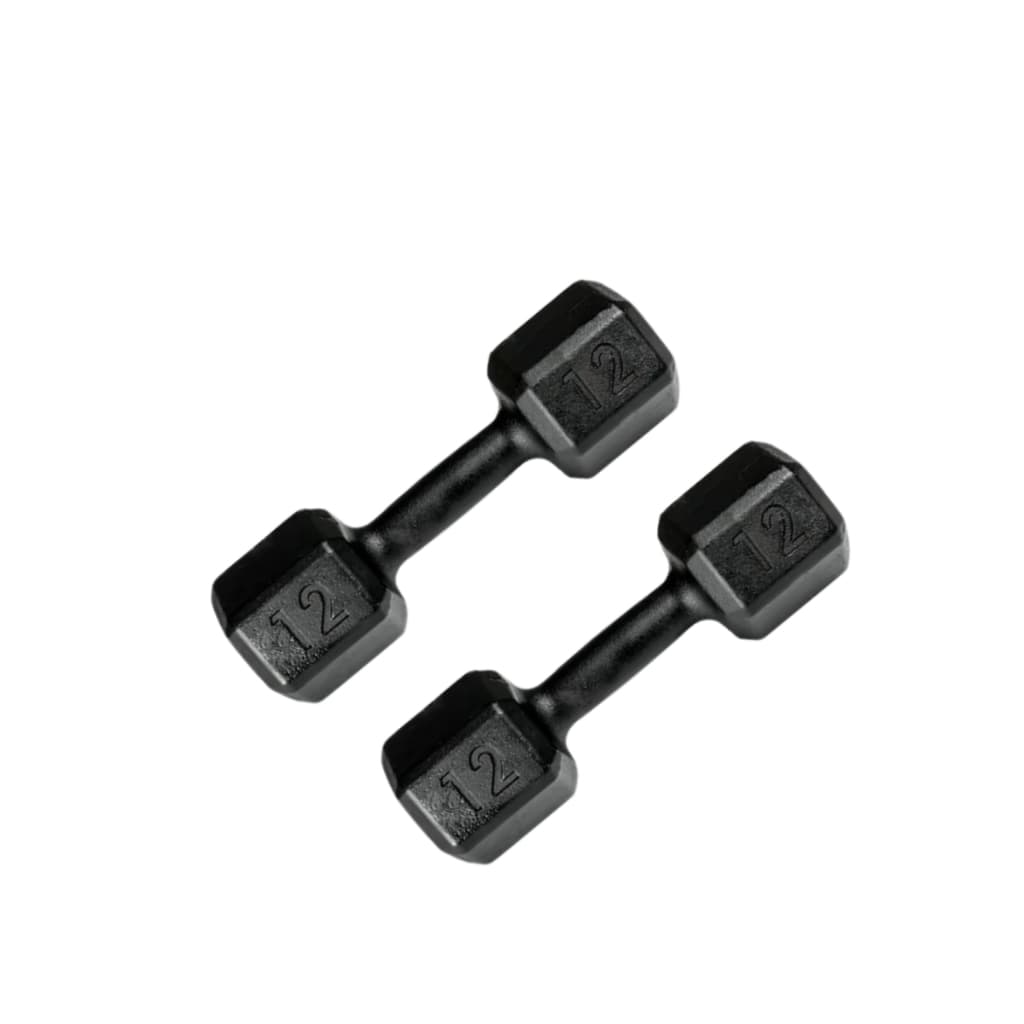 Halter 12kg Pintado Profissional Musculação Academia Peso Livre Unidade