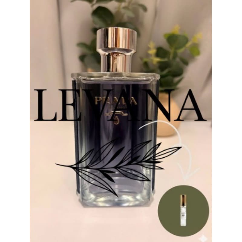 Perfume Importado Masculino P. L’Homme *