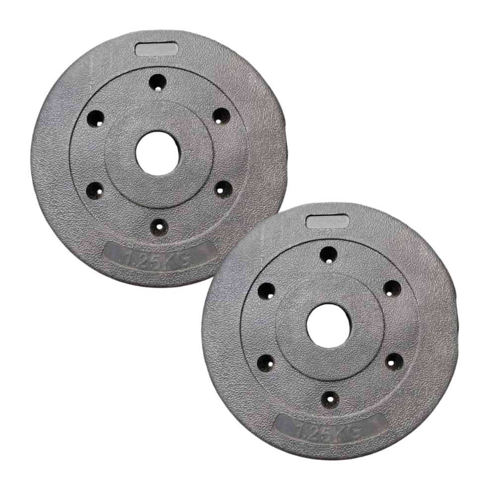Par Anilhas 1,25kg Cimento p/Kit Halteres Barra Supino Kettlebell Treino Academia Casa Exercícios