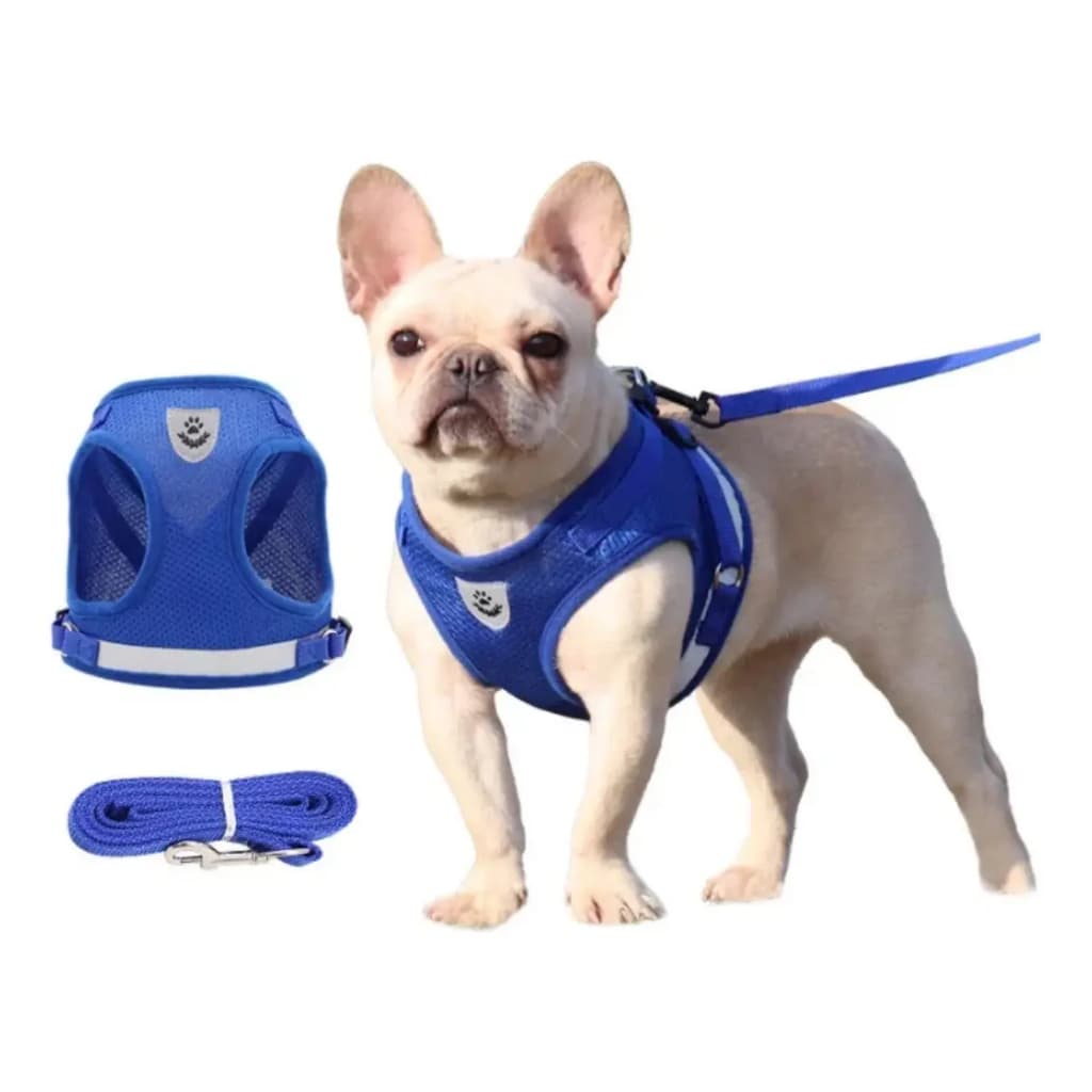 Guia Coleira Peitoral P/ Cachorro Gato Pet Colete Refletivo + Guia - Cores Aleatórias