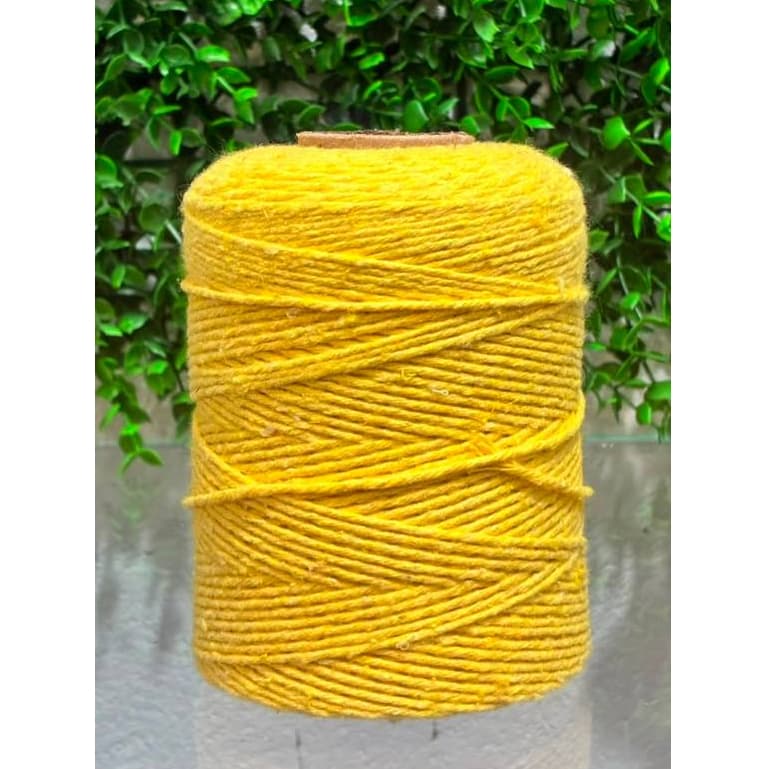 Barbante 250g Nº 6 para Crochê e Artesanato