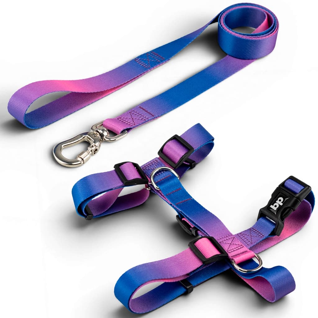 Coleira para Cachorro com Guia Cães Regulável Varias Estampas Basic Pet