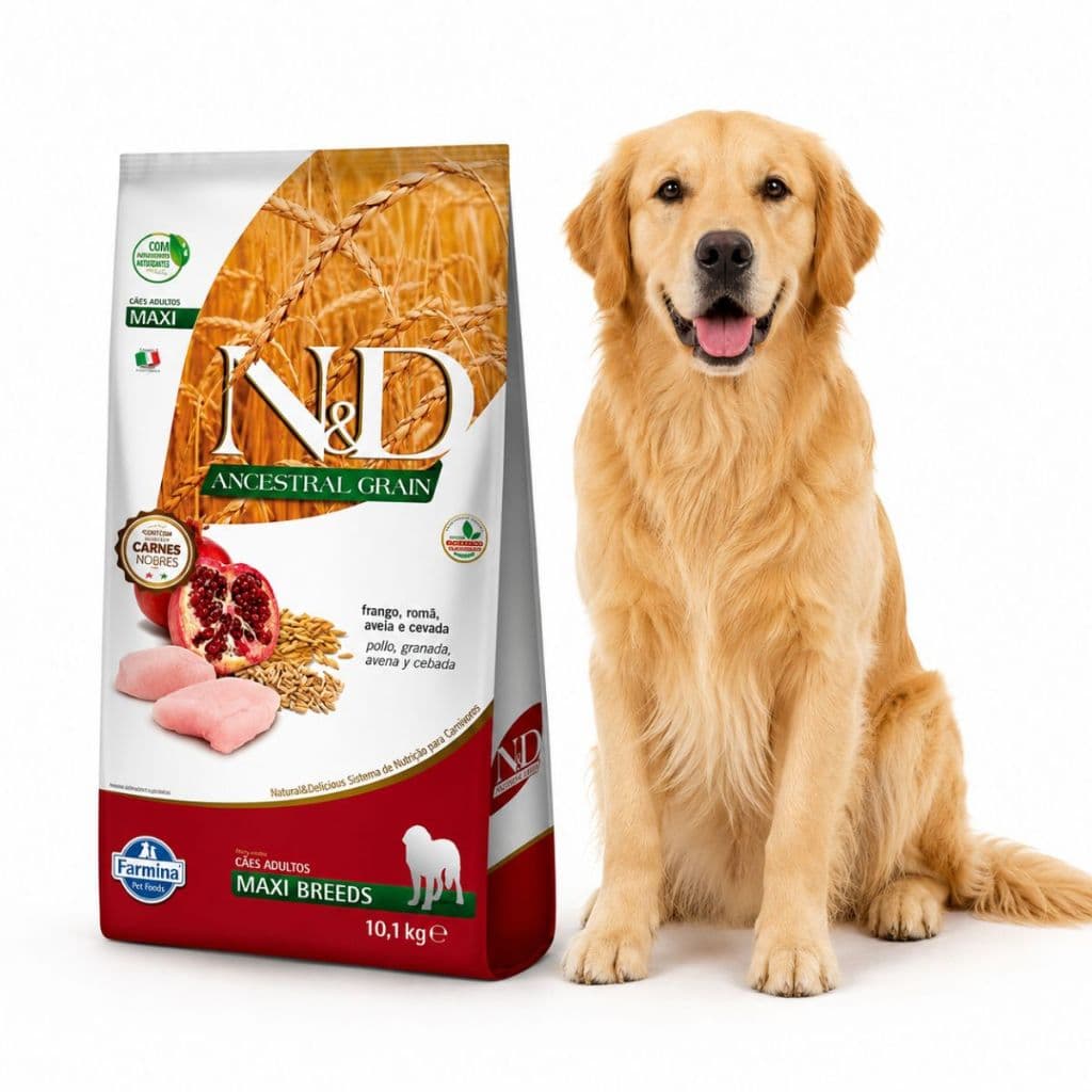 Ração Farmina N&D Ancestral Grain Frango Cães Adultos Raças Grandes 10,1kg Cachorro Grande
