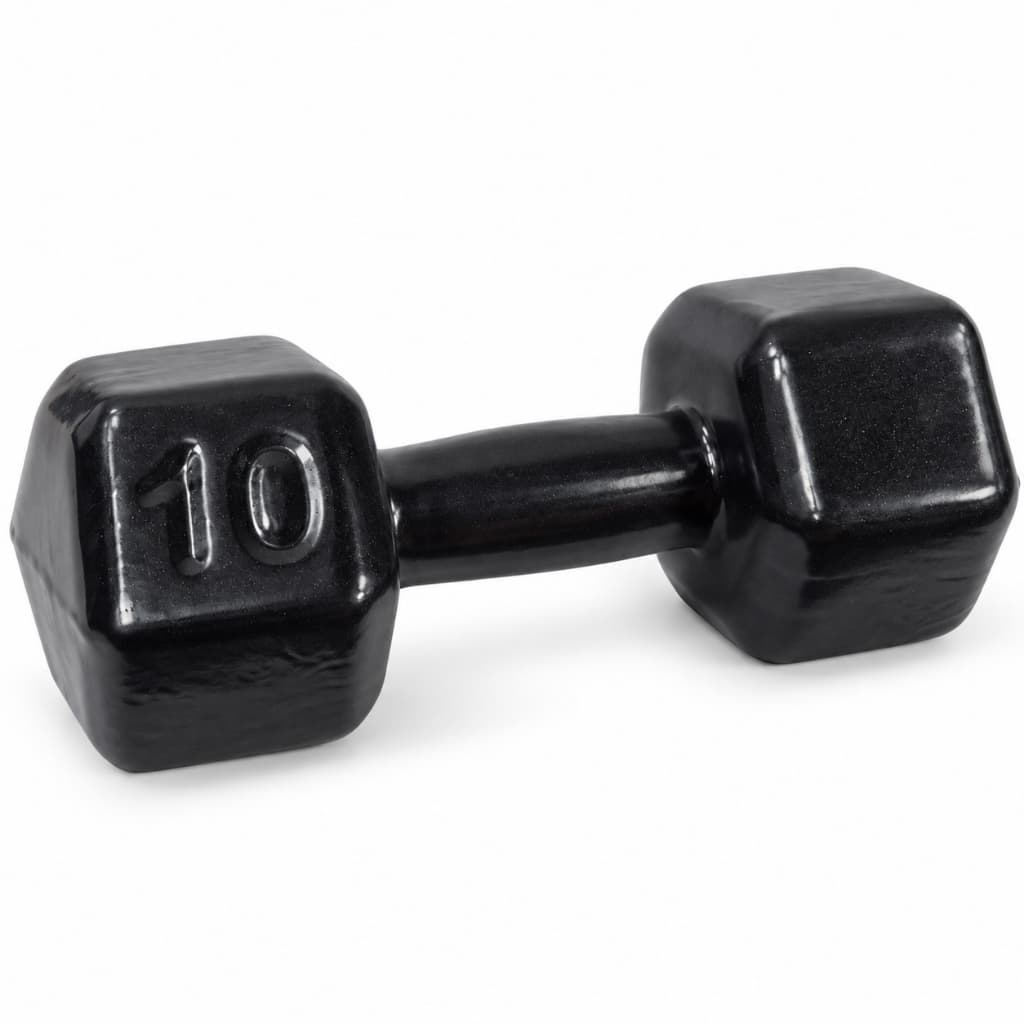 Halter Sextavado Emborrachado 10kg Para Musculação Academia Treino Casa Fitness 1 Unidade