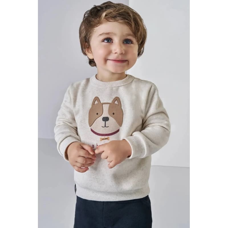 Conjunto de Blusão em Moletom com Pelúcia e Calça Jogger em Moletom com Pelúcia LucBoo Bebê Menino