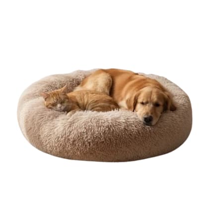 CAMINHA DONUT NUVEM PET PELUCIA REDONDA CAMA PELUCIADA NINHO CASINHA COLCHONETE FUNDO ANTIDERRAPANTE