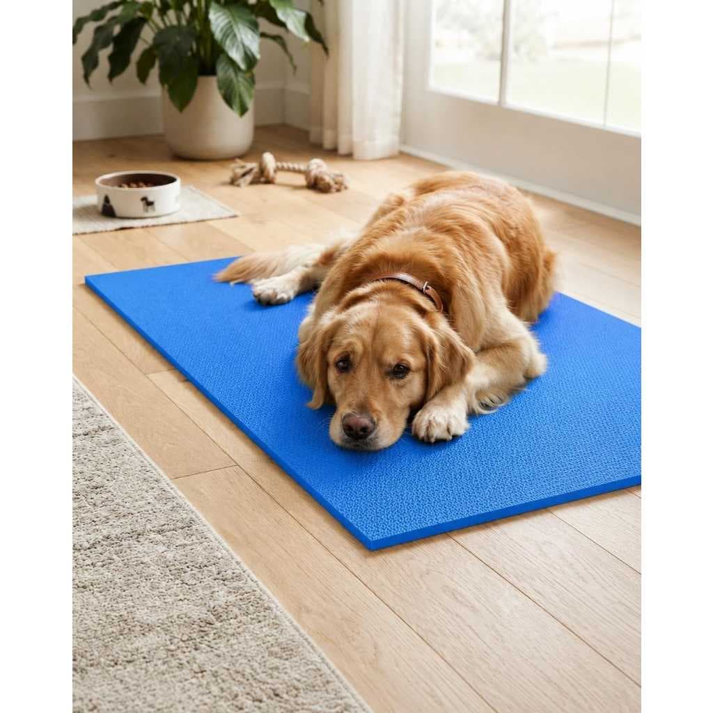 Colchonete Azul para Pets Antiderrapante Confortável Multiuso Base para Descanso, Casinha, Transporte, Treinamento