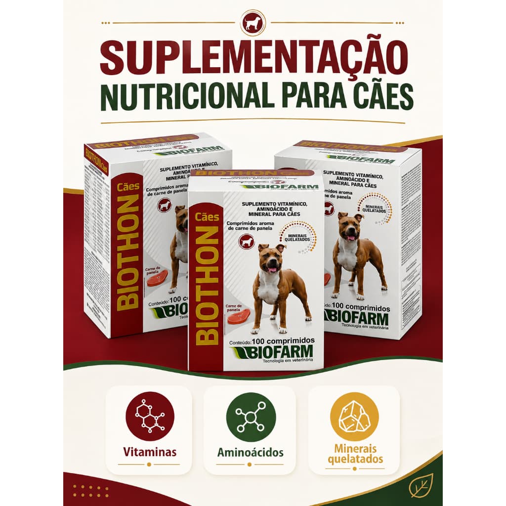 Kit 3 Biothon Cães Suplemento Vitamínico para Engordar Cachorros Ganho de Peso Massa 100 Comprimidos Sabor Carne Biofarm
