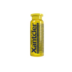 Xantcler Sabor ABACAXI Flaconete 10ml