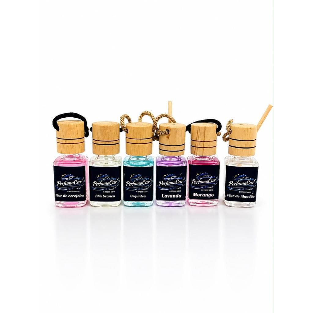 Kit 6/5/4/3/2/1 Cheirinho Aromatizador 10ml  Mini Difusor para Carro e Ambiente