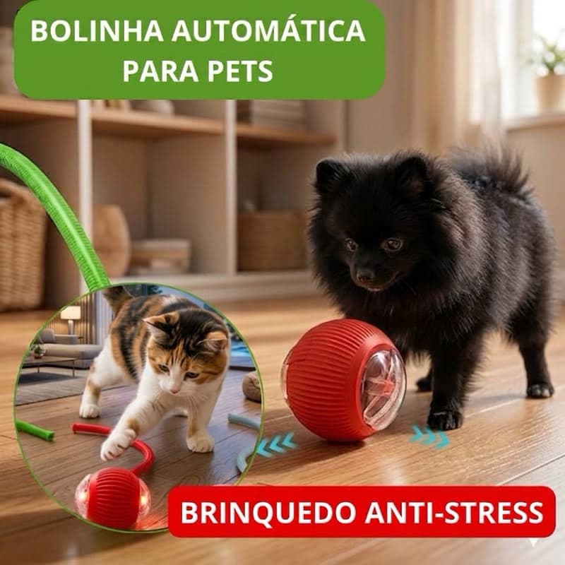 Brinquedo Inteligente Recarregável para Gatos cachorro com Bola Automática