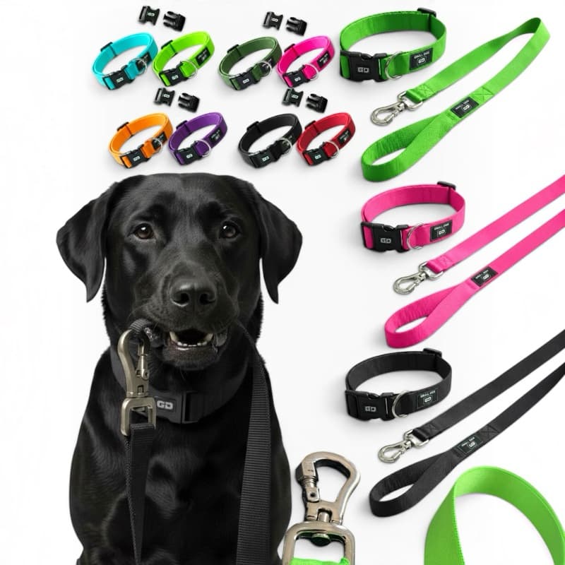 Coleira com ajuste de tamanho e guia premium resistente e robusta para cachorro de todos portes