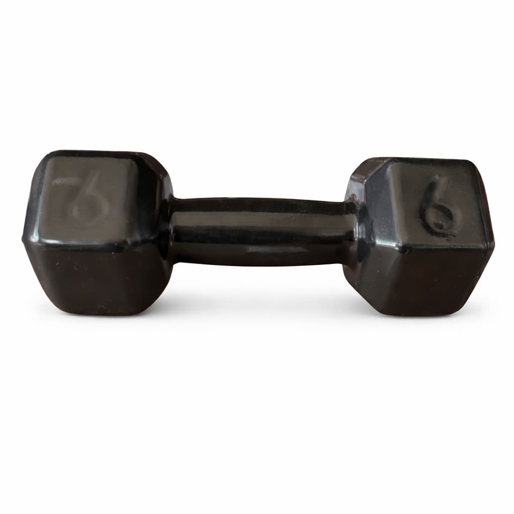 Halter Sextavado de 6kg para Treino e Academia Musculação Profissional Henvifer Academia E Treino Exercícios Físicos