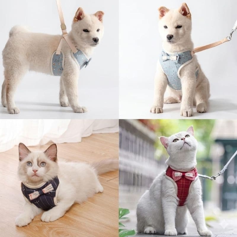 Peitoral para Cachorro com Guia | Coleira Ajustável Pet | Kit Completo para Cães e Gatos Confortável