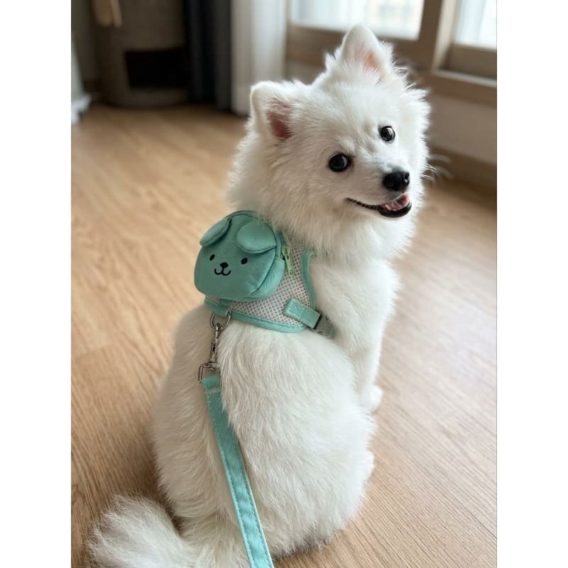 Coleira Peitoral com Mochila para Cachorro Pequeno e Médio com Guia Ajustável Passeio Pet