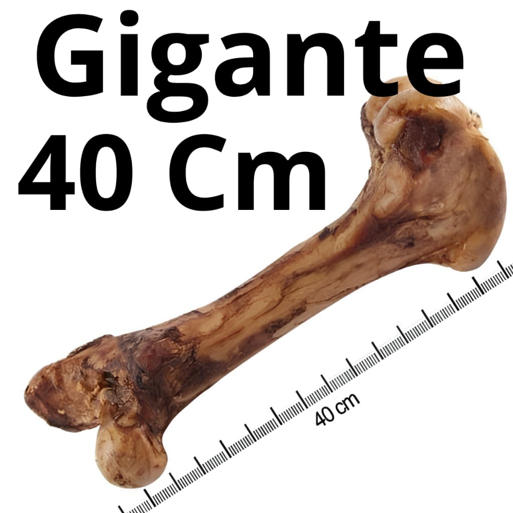 Osso Fêmur Bovino Defumado gigante big Petisco Para Cães Natural 40 cm
