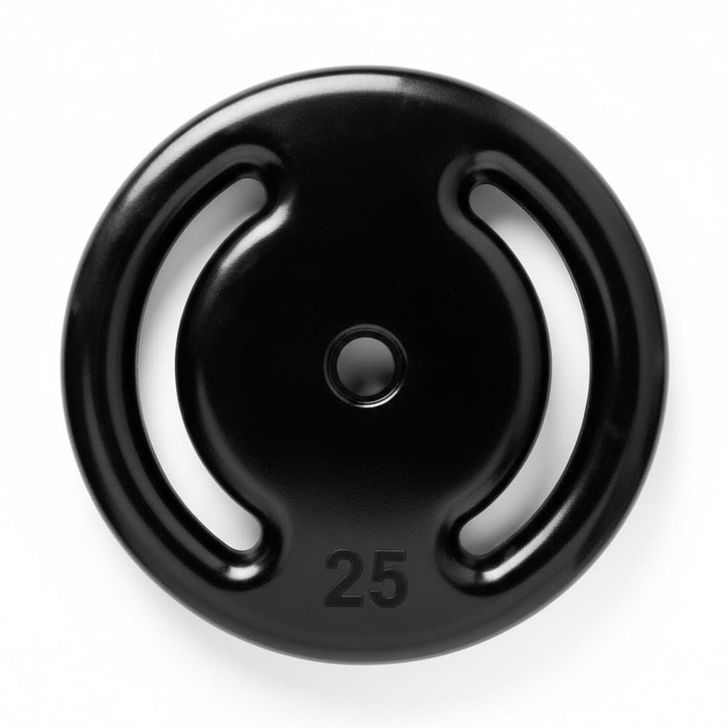 Anilha Emborrachada Fitness 25 Kg Para Halteres E Barras Musculação Profissional Henvifer Academia E Treino Exercícios