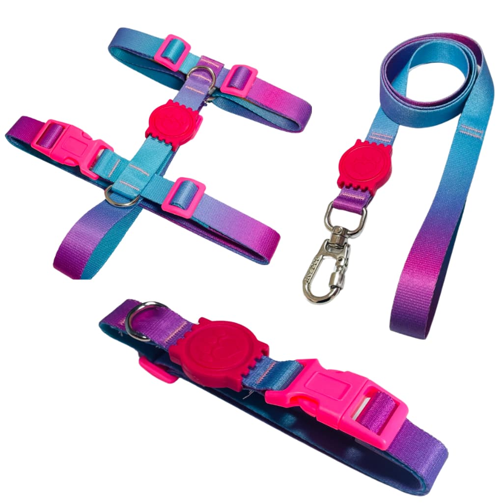 Kit Passeio Peitoral H Guia e Coleira Para Cachorros Cães Pets Azul e Roxo