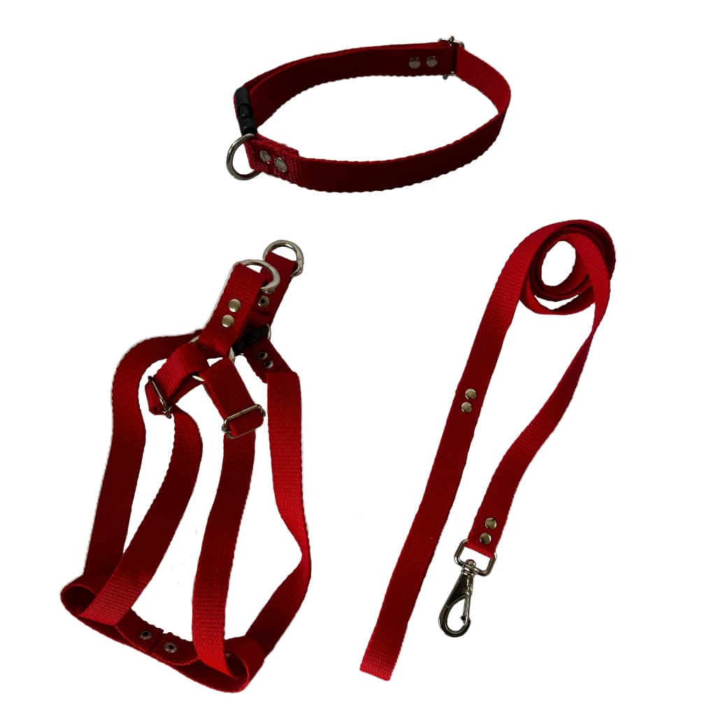Coleira Peitoral para Cachorro e Gato Ajustável kit Peitoral + Coleira + Guia para Passeio Americano