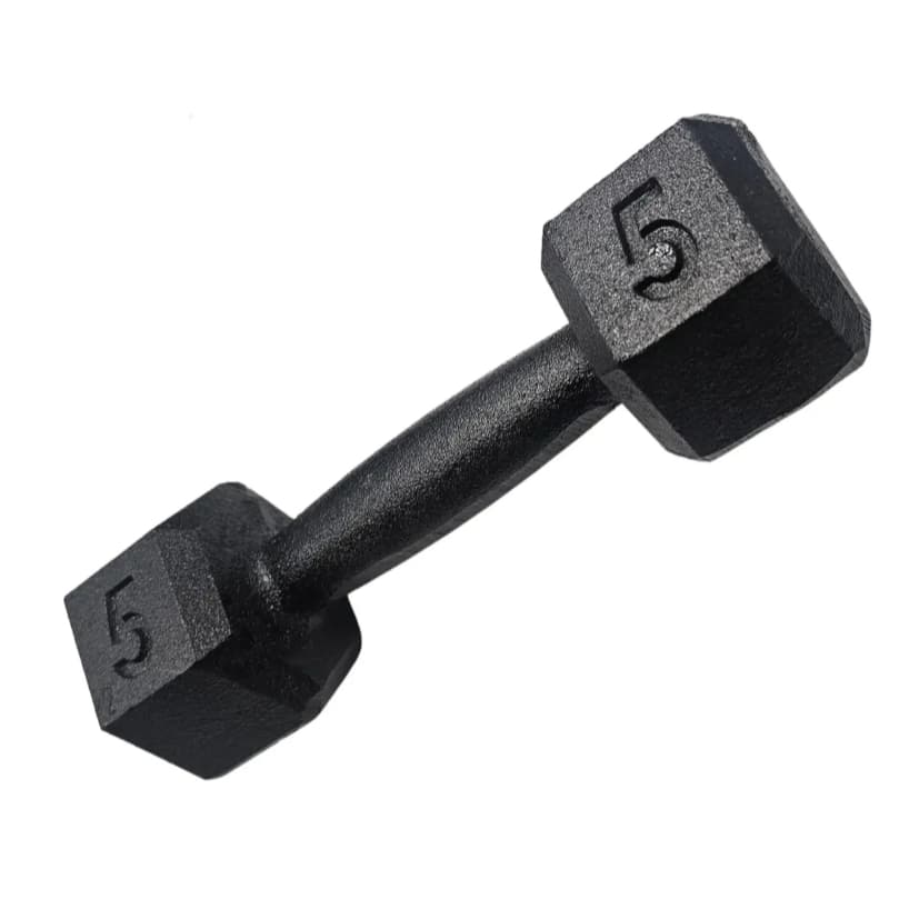 Halter 5Kg Musculação Academia Treino Peso Fitness Exercícios Ferduor Físicos Esporte Fisioterapia Recuperação Muscular
