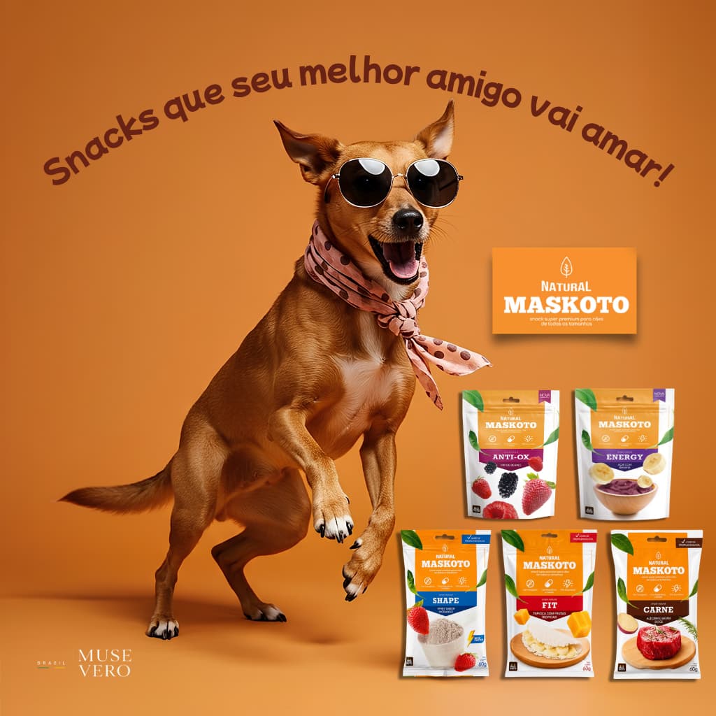 Petisco Natural para Cães Maskoto Snack Saudável 60g Kit 3 ou 5 Unidades
