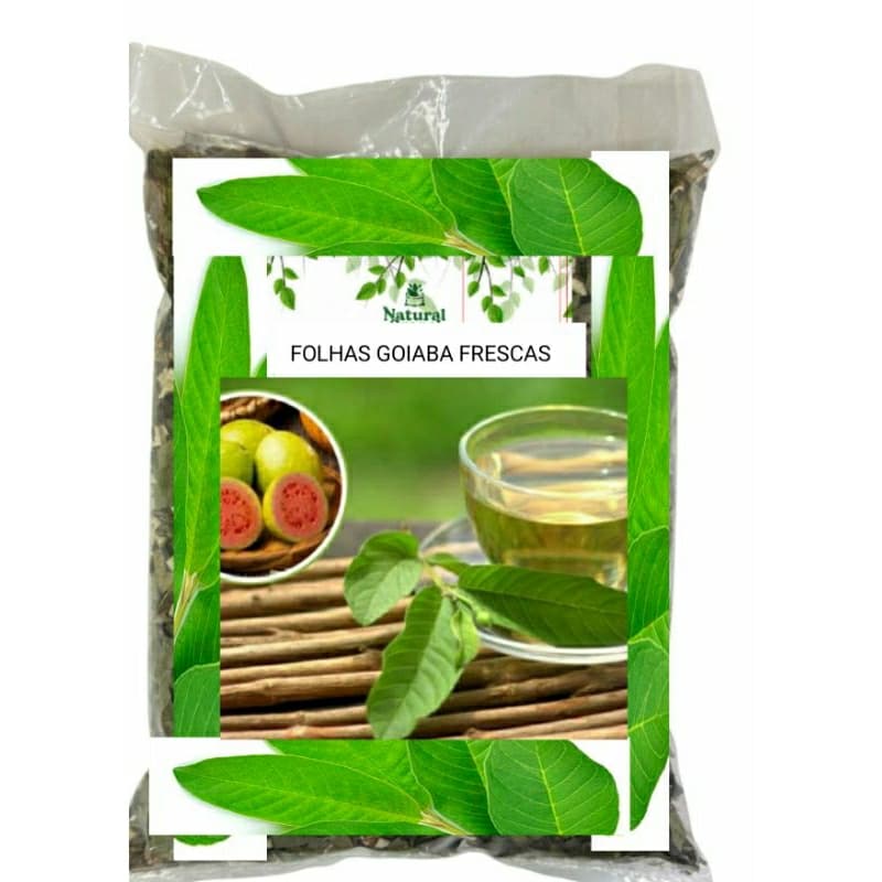 40 Folhas de GOIABA Frescas 100% Orgânicas Chá Aromaticas Saúde Medicinais OFERTA