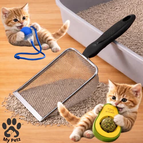Pá de Areia Coletora e Brinquedo Opcional Pets Gato, Cachorro em Aço Inox, Caixa de Areia Higiênica.