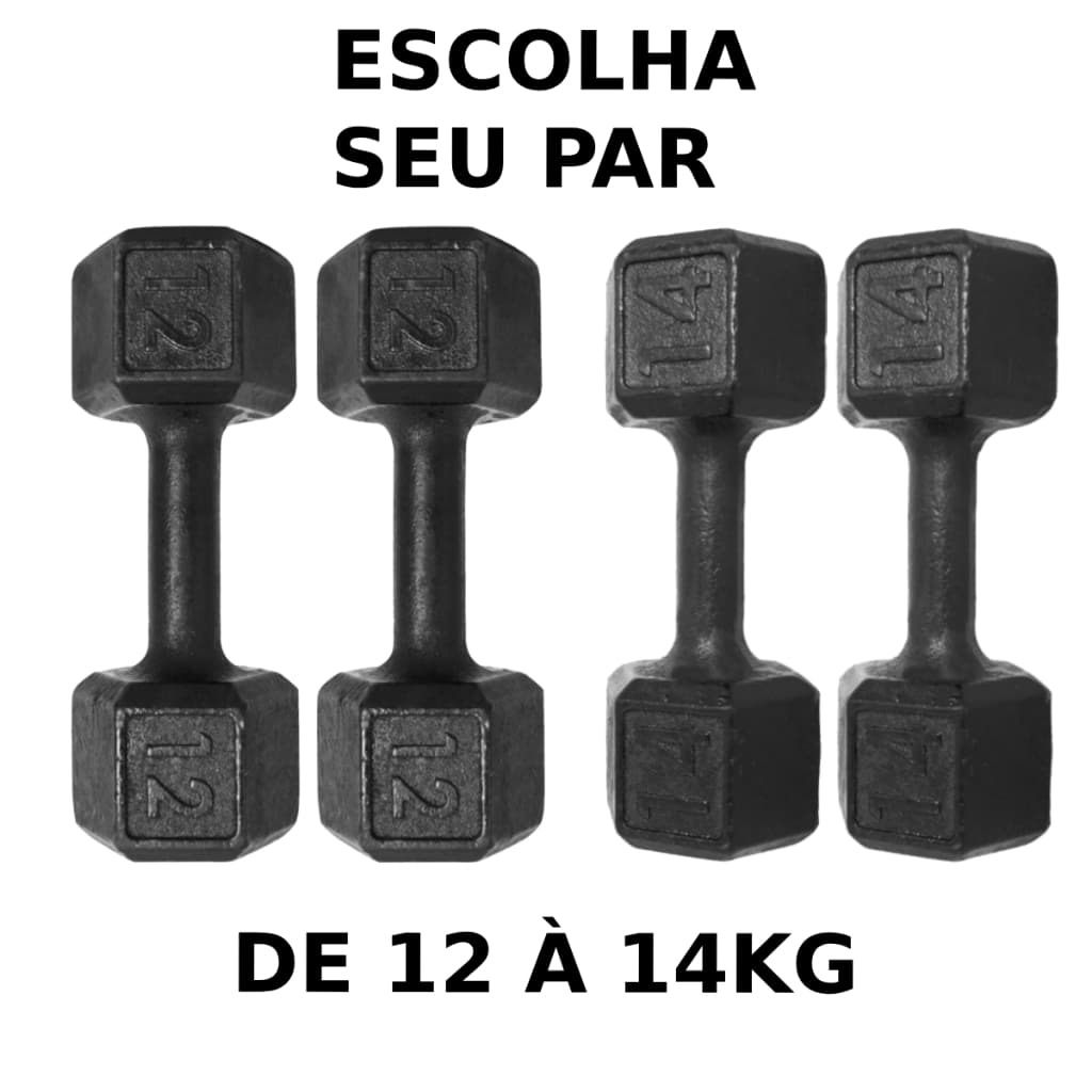 Par Halteres Pintado 12kg á 14kg Peso de Academia Dumbbell Sextavado Para Treino Em Casa Musculação