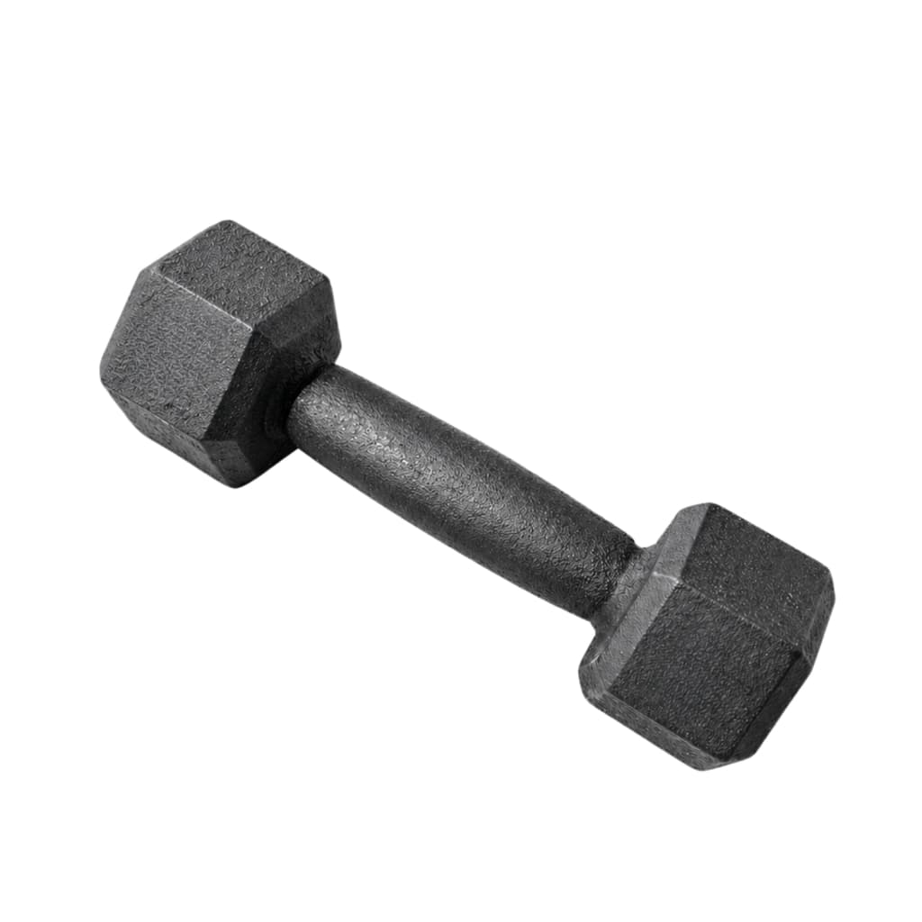 Halter Sextavado Pintado UNIDADE | 1kg a 5kg | variação fitness academia musculação one life sports