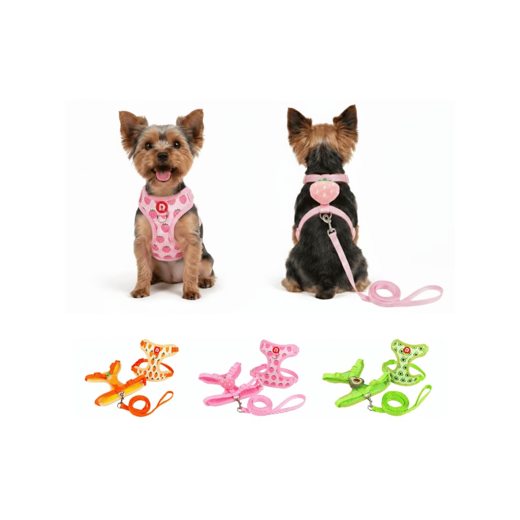 Coleira para Cachorro, Guia + Peitoral Ajustável, Pet Cão, Anti Puxão, Filhote Raças Pequena e Micro