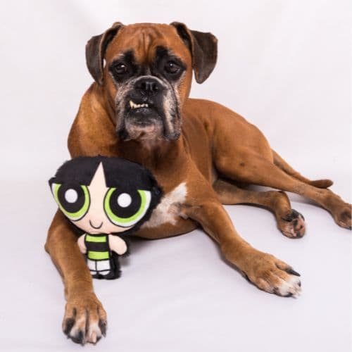 Brinquedo Pelúcia Docinho Petiko | Pelúcia com Apito para Cachorro, Brinquedo Macio para Morder e Interação