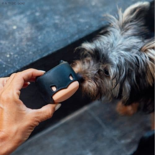 Brinquedo Mordedor de Borracha Batman - Para Cães - Petiko | mordedor para cachorro resistente brinquedo para mastigação